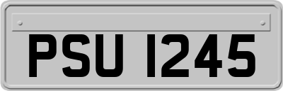 PSU1245