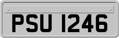 PSU1246