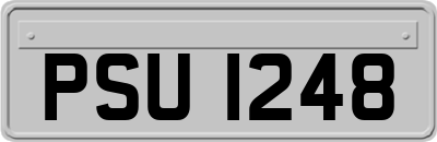 PSU1248