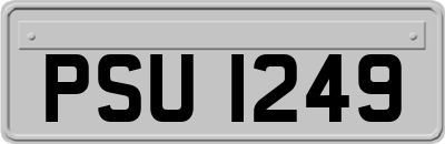PSU1249