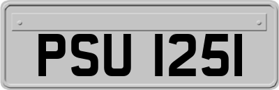 PSU1251