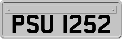 PSU1252