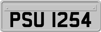 PSU1254