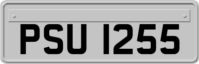 PSU1255