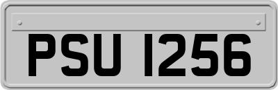 PSU1256