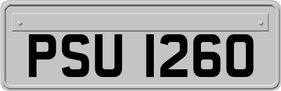 PSU1260