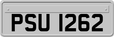 PSU1262