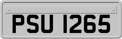 PSU1265
