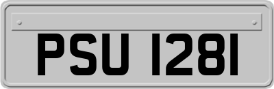PSU1281