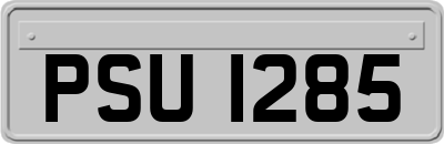 PSU1285