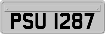 PSU1287