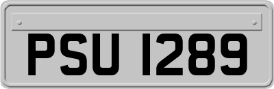 PSU1289
