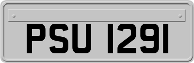 PSU1291