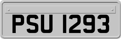 PSU1293