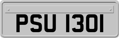 PSU1301