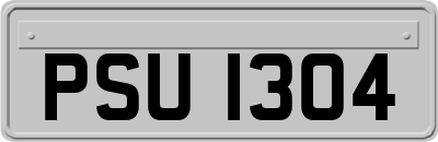 PSU1304