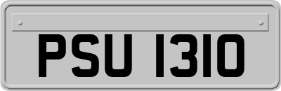PSU1310