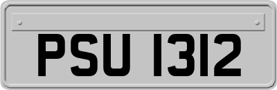 PSU1312