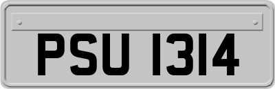 PSU1314