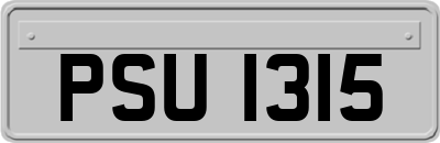 PSU1315