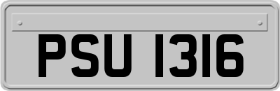 PSU1316
