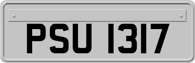 PSU1317