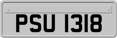 PSU1318