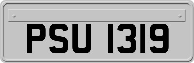 PSU1319