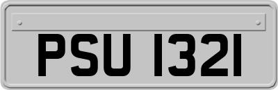 PSU1321