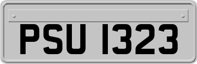 PSU1323
