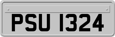 PSU1324