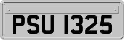 PSU1325
