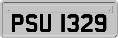 PSU1329