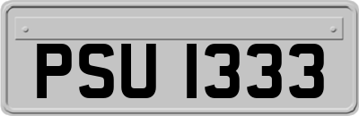 PSU1333