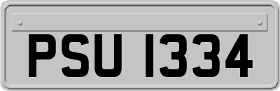 PSU1334