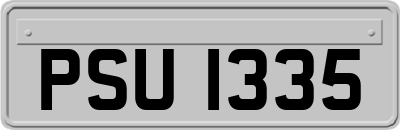 PSU1335