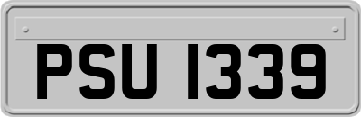 PSU1339