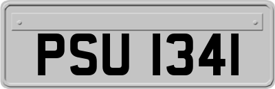 PSU1341