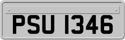 PSU1346