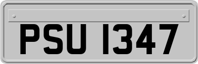 PSU1347