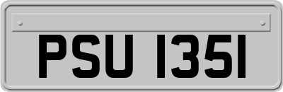 PSU1351