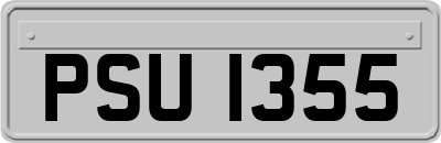 PSU1355