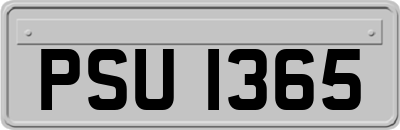 PSU1365