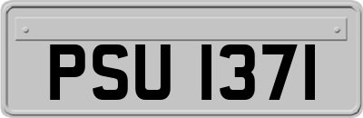 PSU1371
