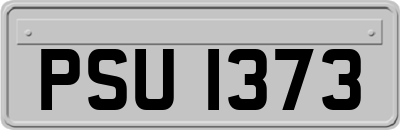 PSU1373