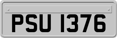 PSU1376
