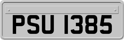 PSU1385