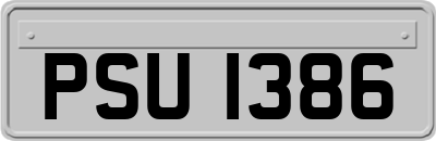 PSU1386