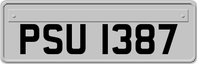 PSU1387