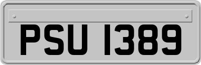 PSU1389